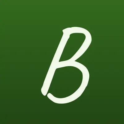 Bravo, магазин, лого-визитка